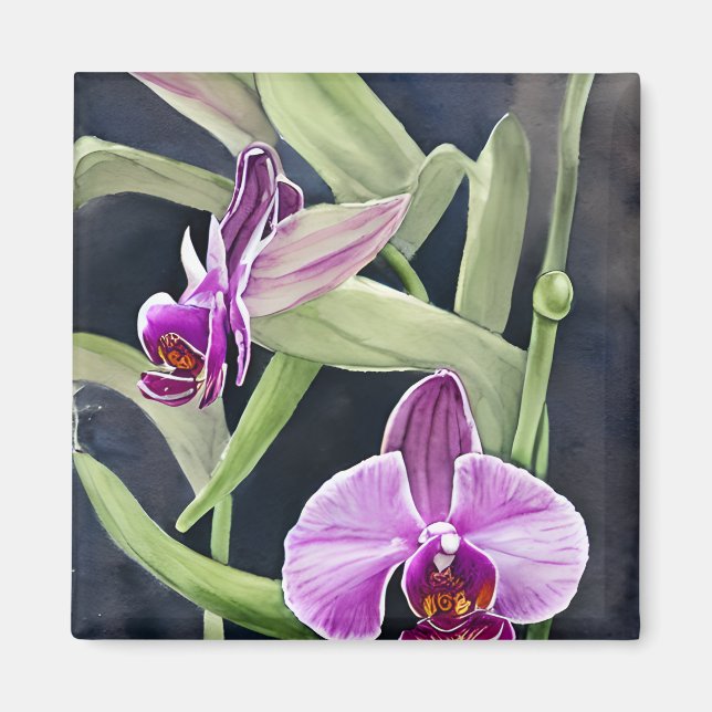 Orchid Kitchen Magnet (Vorne)