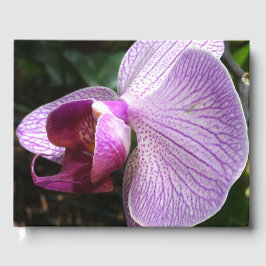 Orchid: Mind Edition Gästebuch