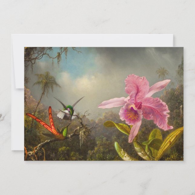 Orchid mit zwei Hummingbirds Heade Einladung (Vorderseite)