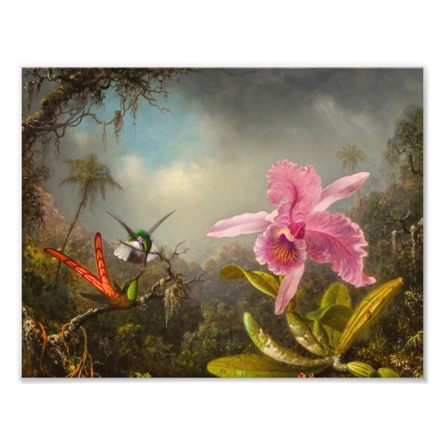 Orchid mit zwei Hummingbirds Heade Fotodruck (Vorne)