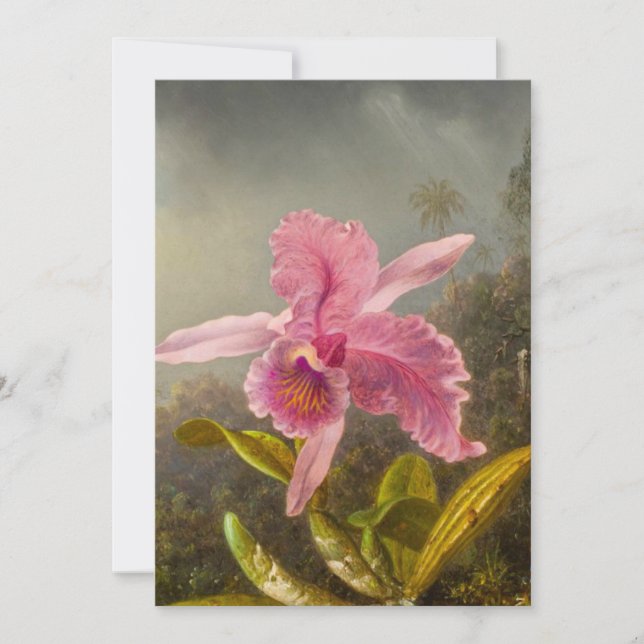 Orchid mit zwei Hummingbirds Heade Save The Date (Vorderseite)