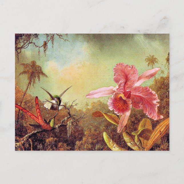 Orchid mit zwei Hummingvögeln, Kunstmalerei,  Postkarte (Vorderseite)