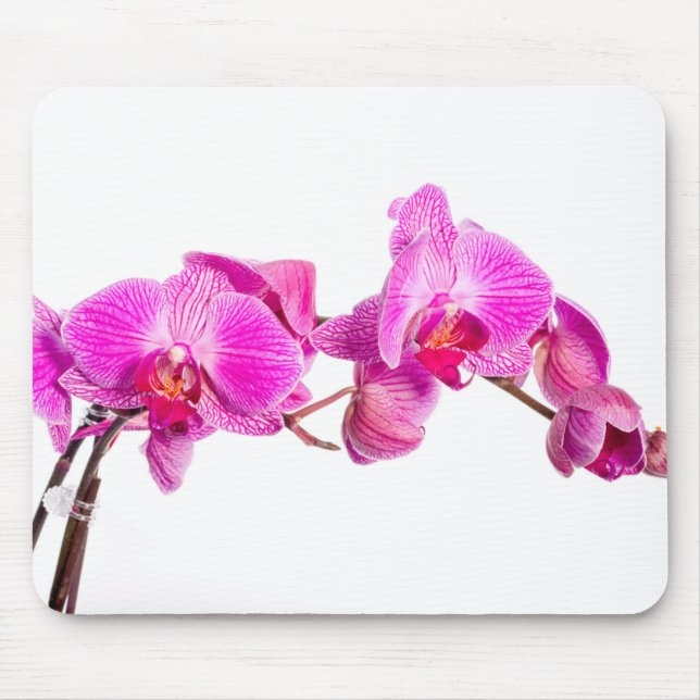 Orchid Mousepad (Vorne)