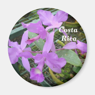 Orchid — Nationale Blume Costa Ricas Magnet