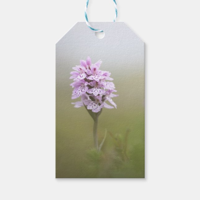 Orchid Nature Foto Geschenkanhänger (Vorderseite)