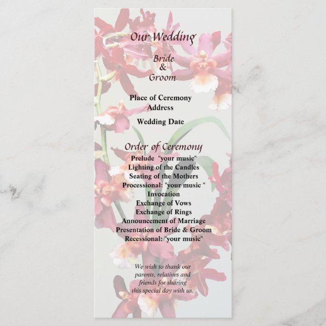 Orchid Oncostele Hilo Firecracker Programme du Nou (Devant)