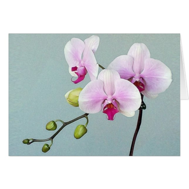 Orchid Orji Card (Vorderseite (Horizontal))
