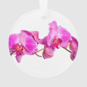 Orchid Ornament