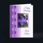 Orchid Personalisiert Mother Birthday Karte<br><div class="desc">Grußkarte lila orchid Mutter Geburtstagkarte. Passen Sie diese Geburtstagskarte mit jedem beliebigen Text an und lassen Sie sie dann ausdrucken und an Sie senden oder laden Sie sie sofort auf Ihr Mobiltelefon herunter. Wenn Sie Hilfe bei der Anpassung benötigen, kontaktieren Sie uns über den Link auf dieser Seite. Blumenfotografie personalisierte...</div>