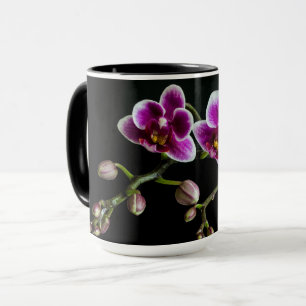 Orchid pinkfarbene weiße Farbe auf schwarz blass s Tasse