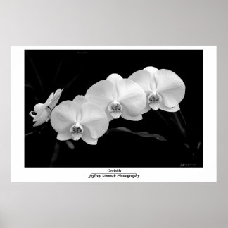 Orchid Poster