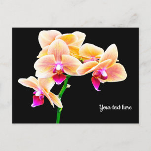 Orchid Postkarte