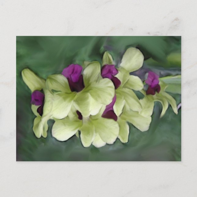Orchid Postkarte (Vorderseite)