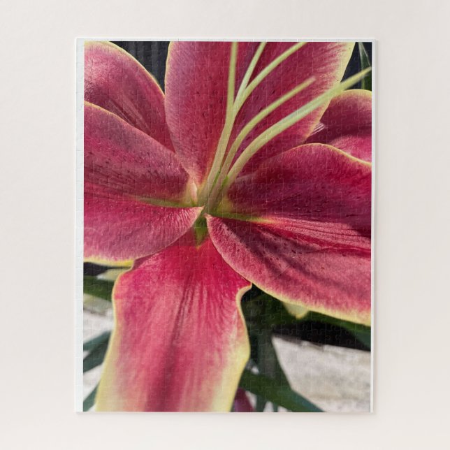 Orchid Puzzle (Vertikal)