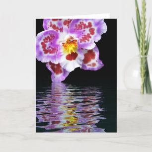 Orchid Reflection Karte