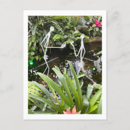 Orchid Room Strichmännchen 2 | Phipps Conservatory Postkarte