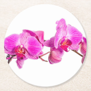 Orchid Runder Pappuntersetzer