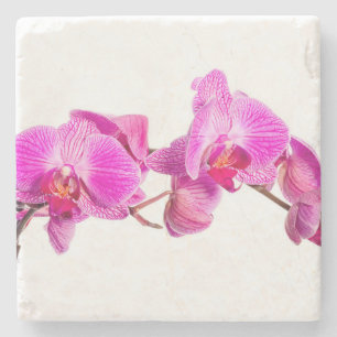 Orchid Steinuntersetzer