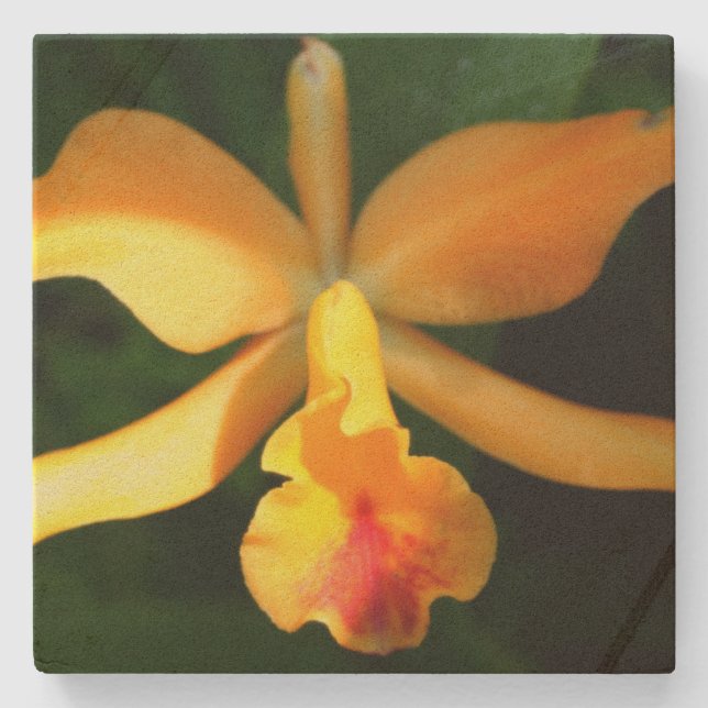 Orchid Steinuntersetzer (Vorderseite)