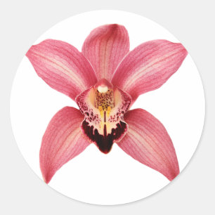 Orchid Stickers