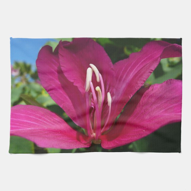 Orchid Tree Blossom Tropical Floral Küchentuch (Horizontal)