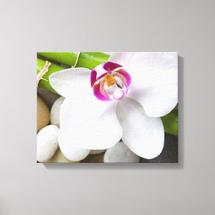 Orchid und Bamboo Leinwanddruck