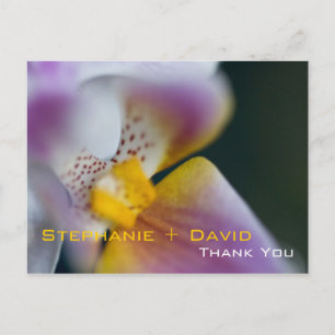 Orchid ・ Vielen Dank Postcard Postkarte