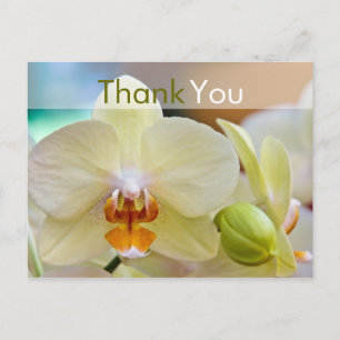 Orchid ・ Vielen Dank Postcard Postkarte