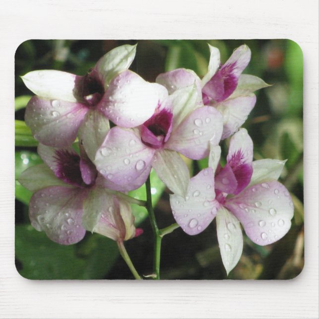 Orchideas mousepad (Vorne)
