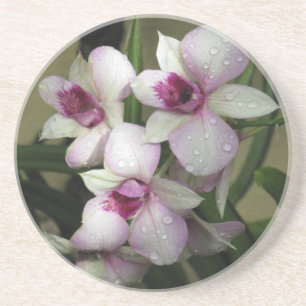 Orchideas Untersetzer