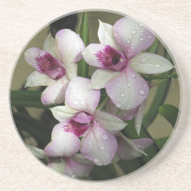 Orchideas Untersetzer (Vorne)