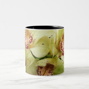 Orchidee 23 zweifarbige tasse
