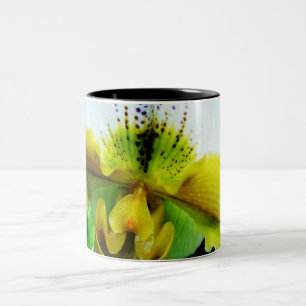 Orchidee 5 zweifarbige tasse