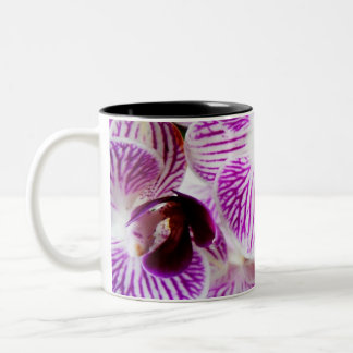 Orchidee 9 zweifarbige tasse