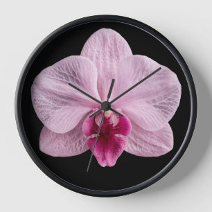 Orchidee auf schwarzem Hintergrund Uhr