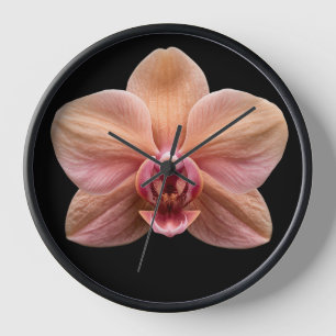 Orchidee auf schwarzem Hintergrund Uhr