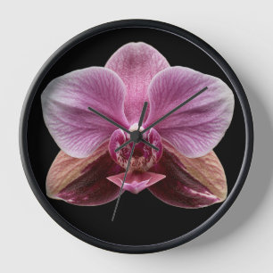 Orchidee auf schwarzem Hintergrund Uhr