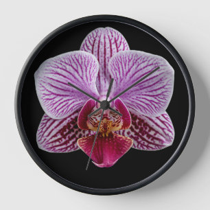 Orchidee auf schwarzem Hintergrund Uhr
