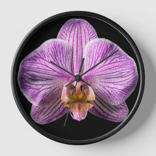 Orchidee auf schwarzem Hintergrund Uhr