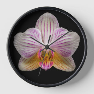 Orchidee auf schwarzem Hintergrund Uhr