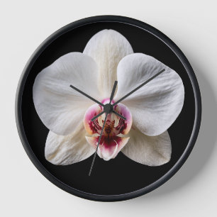 Orchidee auf schwarzem Hintergrund Uhr