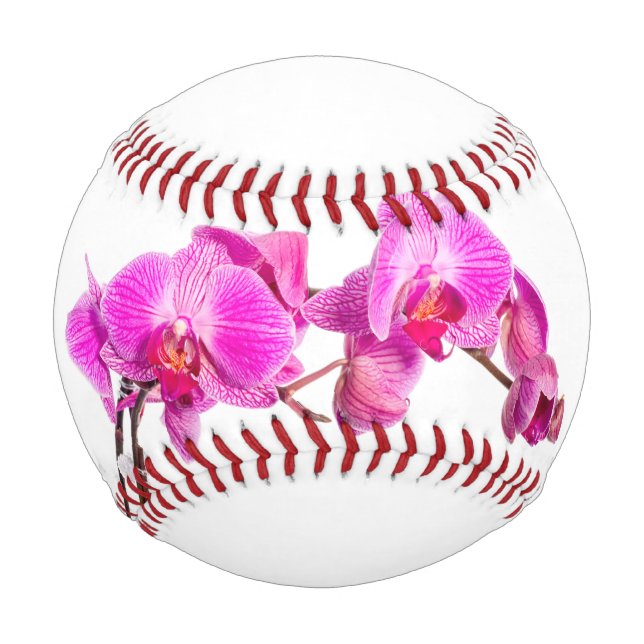 Orchidee Baseball (Vorderseite)
