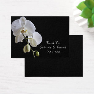 Orchidée blanche sur Noir Mariage Favoriser Tags