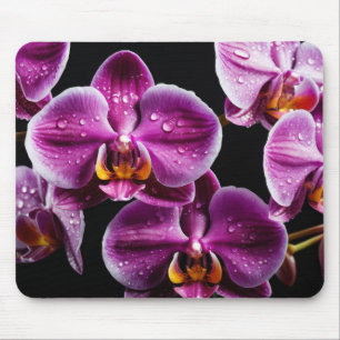 Orchidee Blume Farbenfrohe Blossom Dekoration Blos Mousepad