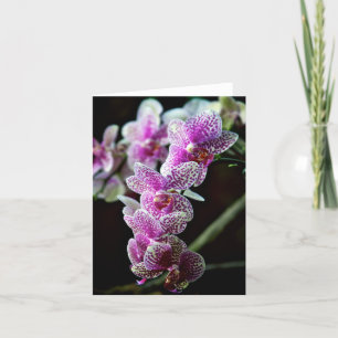Orchidee Blume Foto Note Card Karte