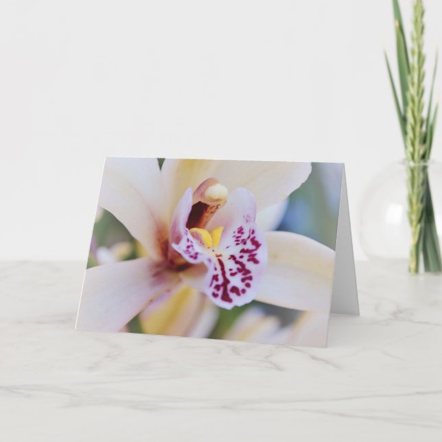 Orchidee Blume Nahe up Art Note Card Karte (Vorderseite)