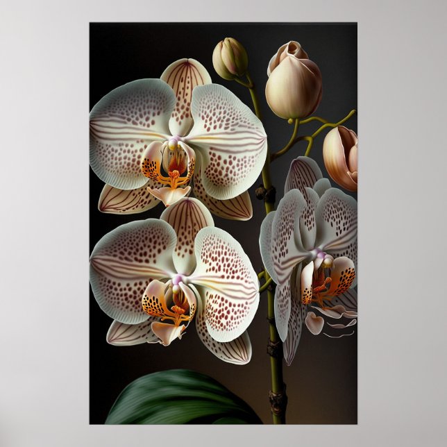 Orchidee Blume Weißes Motiv Poster (Vorne)