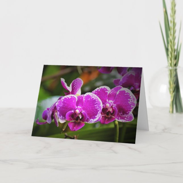 Orchidée, carte (Devant)