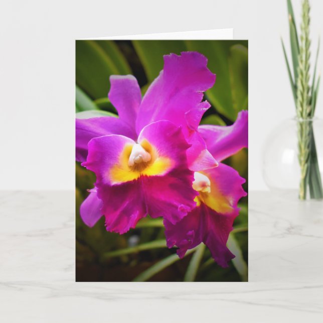 Orchidée, carte (Devant)