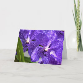 Orchidée, carte
